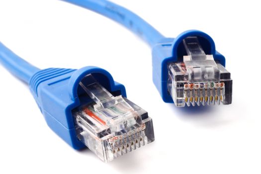 LAN network connection cable on white background.