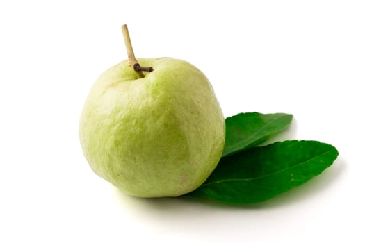 Fresh guava fruit on a white background.