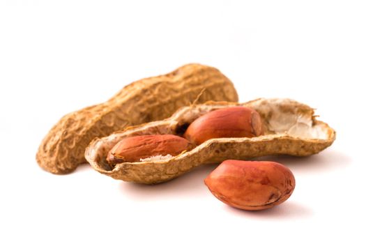 Peanut on white background.