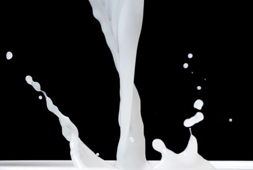 Milk Splash on black background.