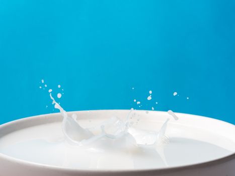 Splash of milk from a cup on blue background.