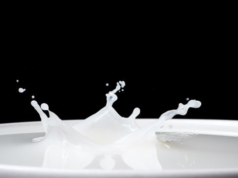 Splash of milk from a cup on black background.