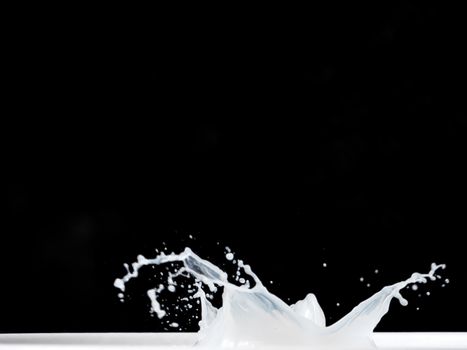 Milk Splash on black background.