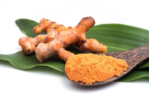 Turmeric roots with turmeric powder on green leaf over white background.