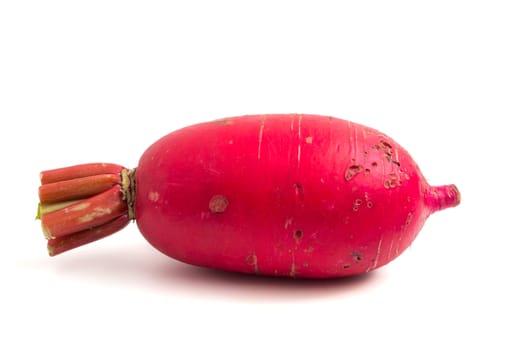 Fresh Pink Radish on white background.