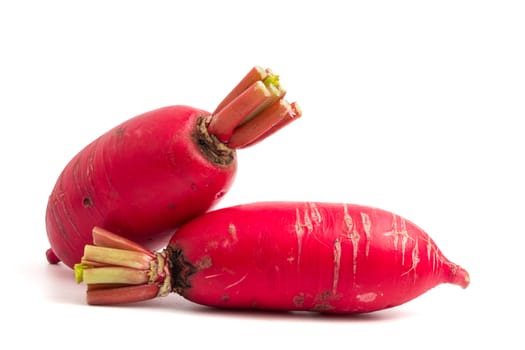 Fresh Pink Radishes on white background.