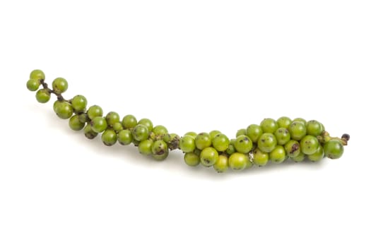 Green peppercorns on white background.