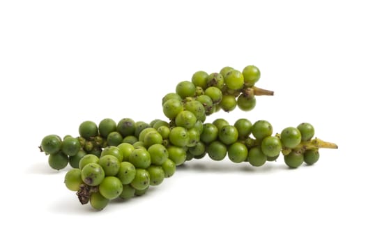 Green peppercorns on white background.