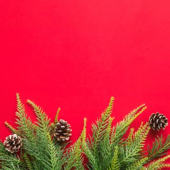 Christmas tree branches on red background. Free space for text