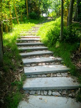 Beautiful pathway in a park in summer, Landscape with scenic winding footpath in sunlight. Stone overgrown path in sunny garden