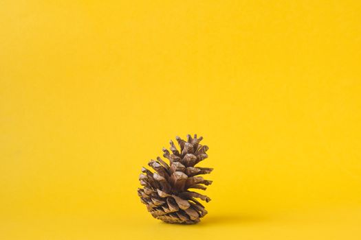 Pine cone on yellow background, Christmas decoration.