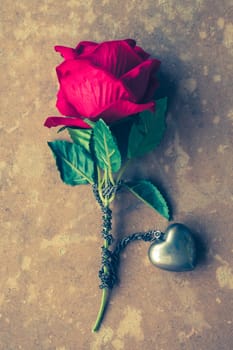 Red rose with silver heart necklace on brown grunge board background. Concept of Valentine Day. Vintage tone