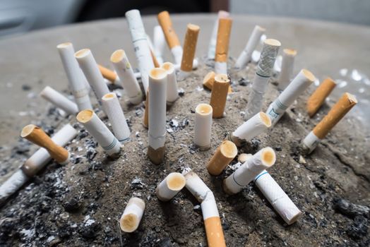 Smoked Cigarettes Butts in sand ashtray bin.Selective focus