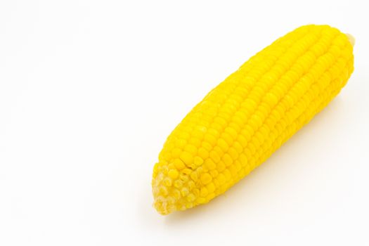 Boiled corn on white background