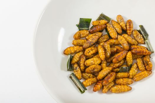 Fried insects. Protein rich food