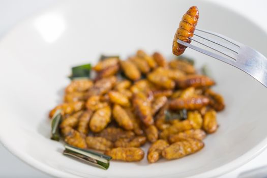 Fried insects. Protein rich food