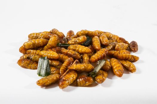 Fried insects. Protein rich food