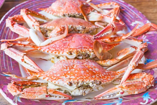 steamed cooked crabs on a plate