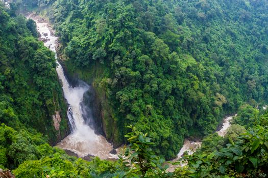 Greenery forest and waterfall