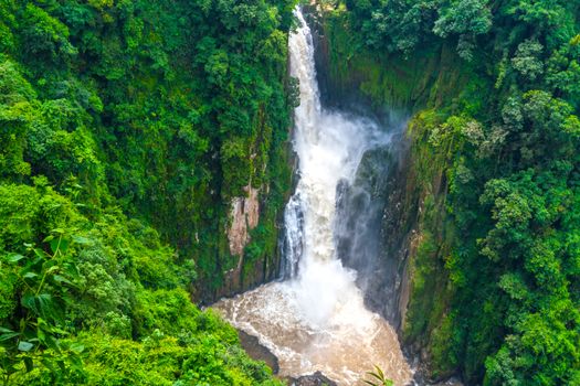 Stunning waterfall and greenery forest