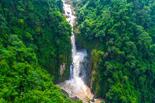 Stunning waterfall and greenery forest