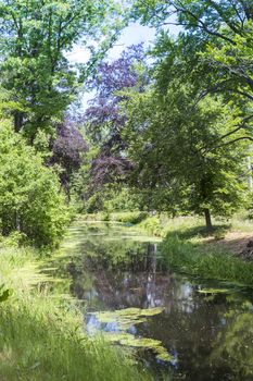 small river in  holland with lots of green trees and a red beech