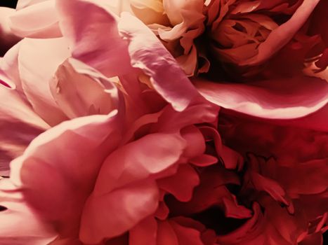 Red peony flower as abstract floral background for holiday branding design