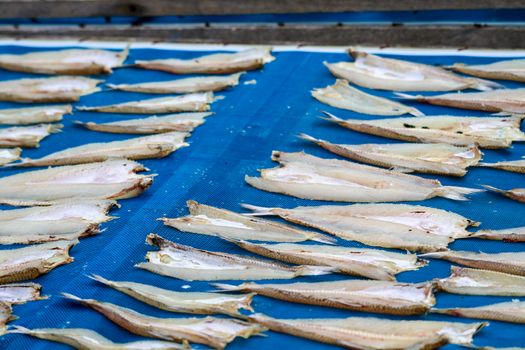 Deep dried fish is a way to preserve. may be risk of infection due to lack of hygiene