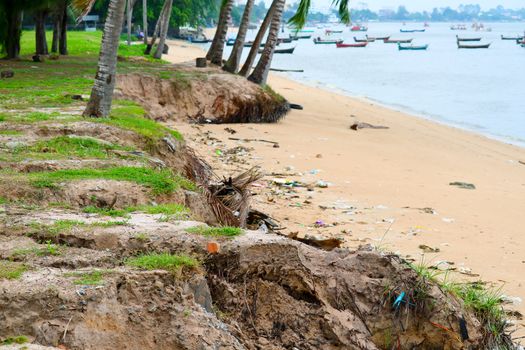 storm surge coastal waves coconut tree, concept  Hazards and damage to sidewalks roads and real estate