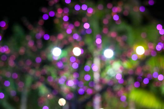 blurred colorful light on tree decorate in the night garden