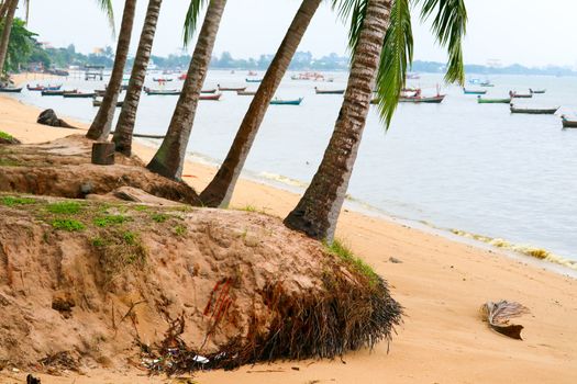 storm surge coastal waves coconut tree, concept  Hazards and damage to sidewalks roads and real estate