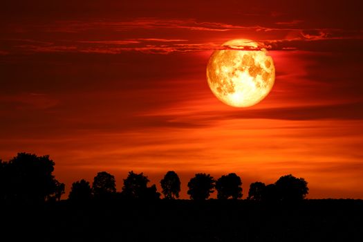 super blood snow moon back silhouette tree on dark red sky, Elements of this image furnished by NASA