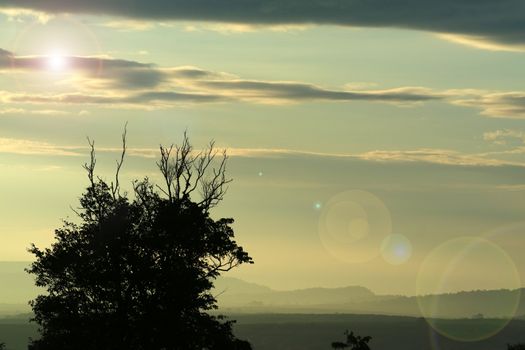 sunset on silhouette tree back cloud mountain on night sky