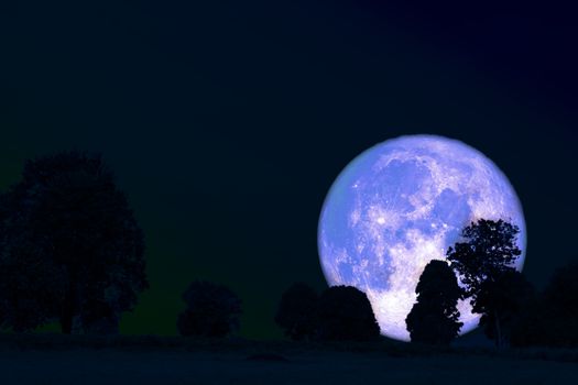 full flower moon back on silhouette plant and trees on night sky, Elements of this image furnished by NASA