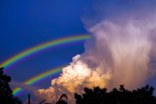 rainbow appears in the sky after the rain and back on sunset cloud over tree