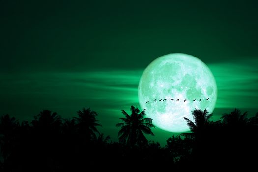 full egg moon back on silhouette bords on night sky, Elements of this image furnished by NASA