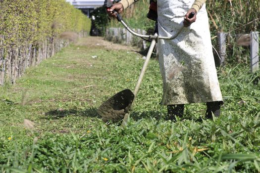 The gardener is using the lawn mower to shorten the grass. Gardener use lawn mower for clear backyard. Gardener use equipment for grass trim.