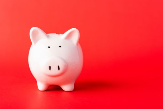 Front small white fat piggy bank, studio shot isolated on red background and copy space for use, Finance, deposit saving money concept