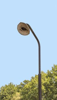 old defect lamp post with blue sky and green plants as background