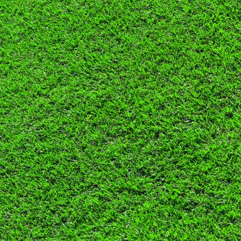 green grass fields meadow background texture square