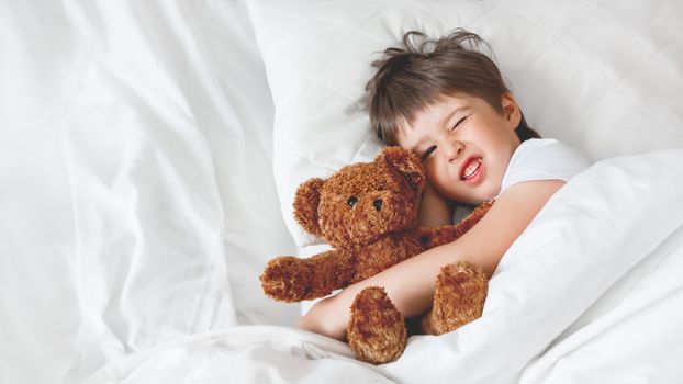 Toddler doesn't want to wake up in bed with cute teddy bear. Little boy under white blanket with fluffy toy. Plush guard watches out child's sleep. Background with copy space.