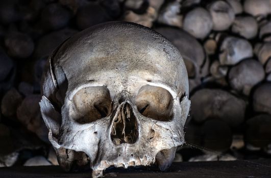 Coronavirus 2019-nCov Chinese novel coronavirus asian flu epidemic word Skulls front view concept