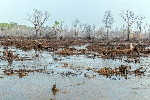 Jayatataka Baray pond Neak Pean artificial island to the Angkor temple complex Lost ancient Khmer Empire city in the jungle in Siem Reap Cambodia.