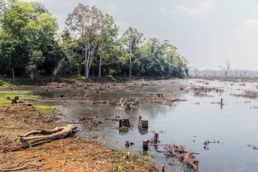 Jayatataka Baray pond Neak Pean artificial island to the Angkor temple complex Lost ancient Khmer Empire city in the jungle in Siem Reap Cambodia.