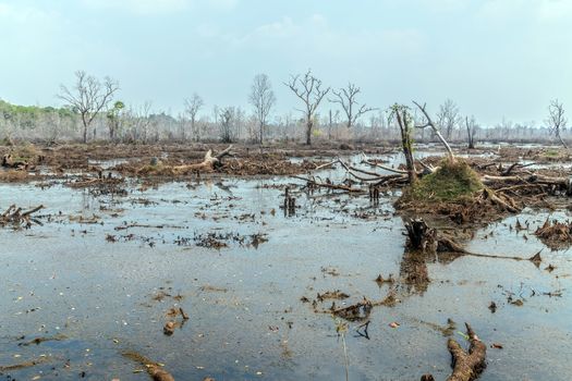 Jayatataka Baray pond Neak Pean artificial island to the Angkor temple complex Lost ancient Khmer Empire city in the jungle in Siem Reap Cambodia.