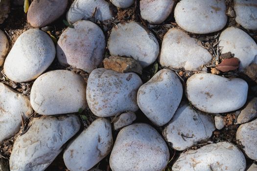 close-up of gray beach pebbles in the earth as decoration of a garden