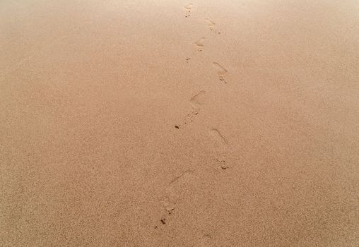 Footprints human feet sand Texture background