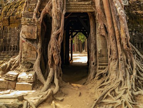 Ta Som Gate complex Khmer architecture of Angkor wat Lost ancient Khmer city in the jungle Siem Reap Cambodia.