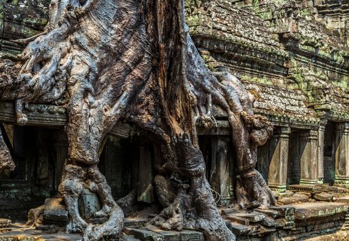 Ancient temple old ruin stone wall of Angkor wat Lost Khmer city in the jungle Siem Reap UNESCO World Heritage Site Cambodia.