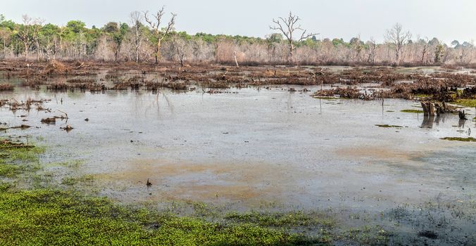Jayatataka Baray pond Neak Pean artificial island to the Angkor temple complex Lost ancient Khmer Empire city in the jungle in Siem Reap Cambodia.
